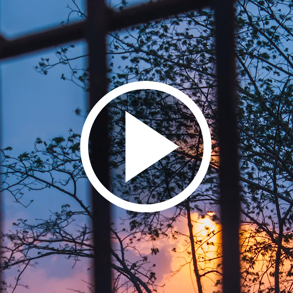 An image looking through bars at a sunset